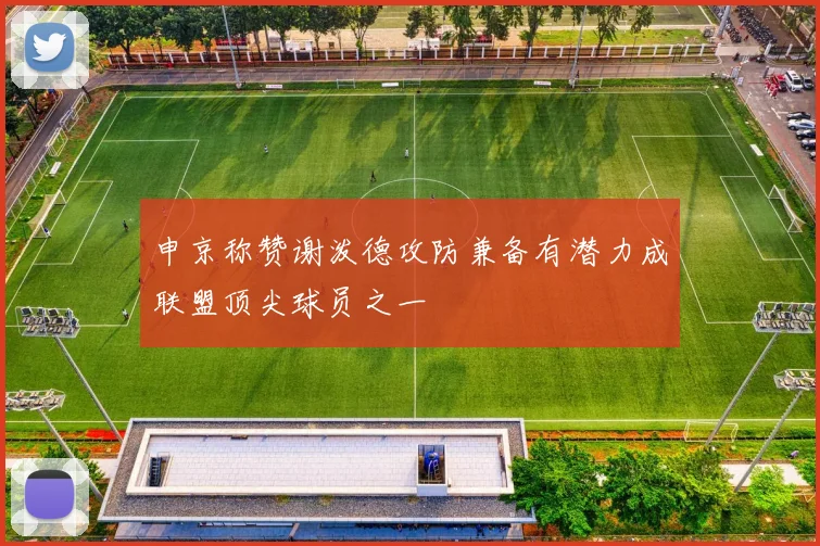 申京称赞谢泼德攻防兼备有潜力成联盟顶尖球员之一